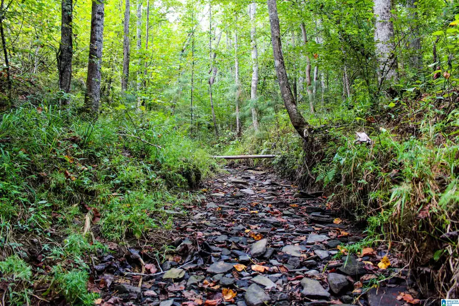 1 HIGHWAY 13, Bankston, AL 35542 - #2