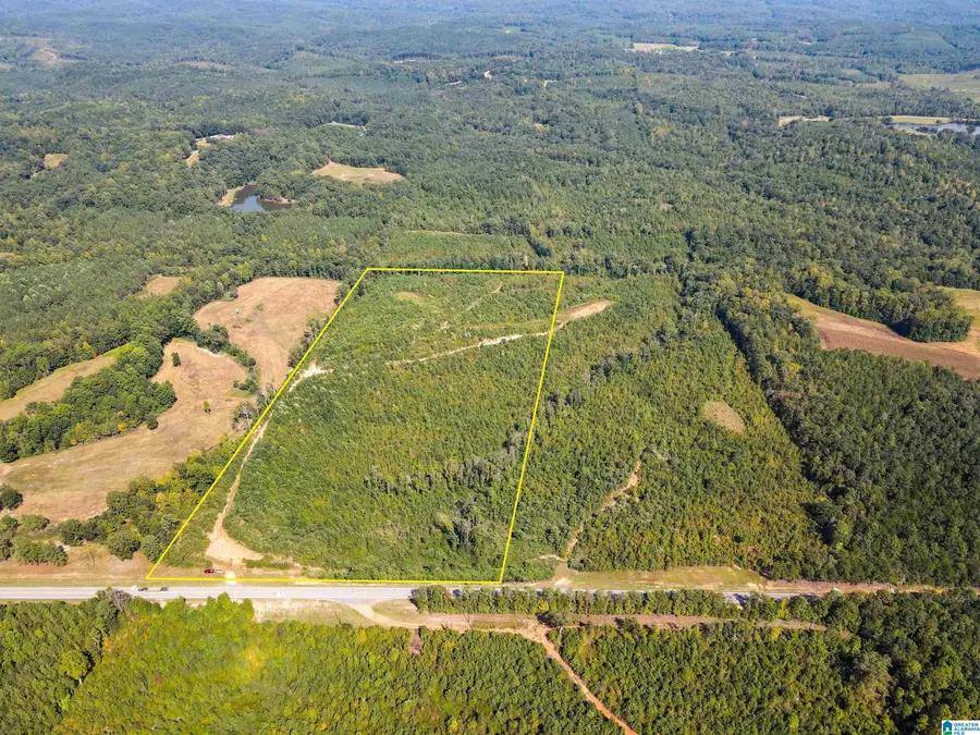 1 HIGHWAY 13, Bankston, AL 35542 - #3