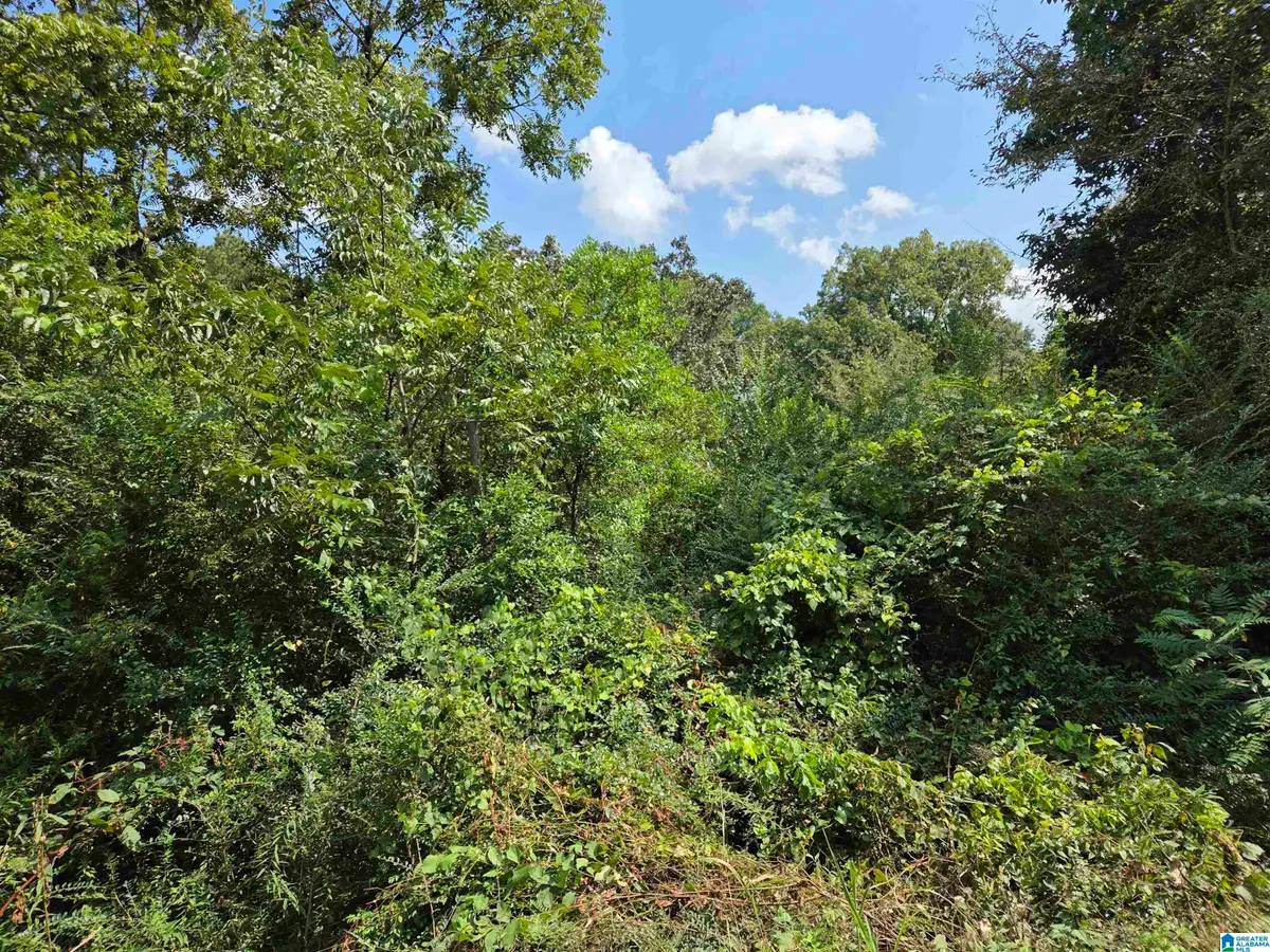 0 FINLEY AVENUE, Sylacauga, AL 35150 - Image #1