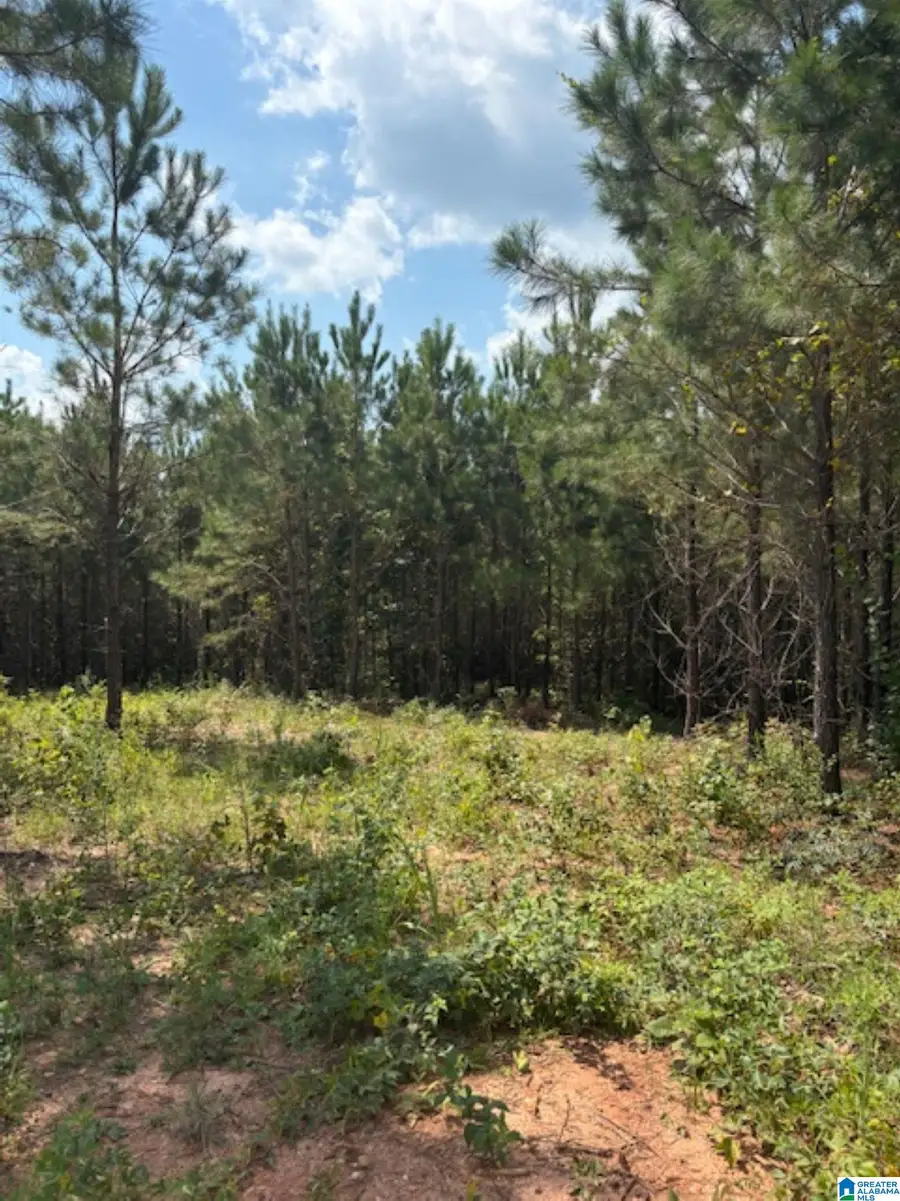 COUNTY ROAD 472, Clanton, AL 35046 - Image #3