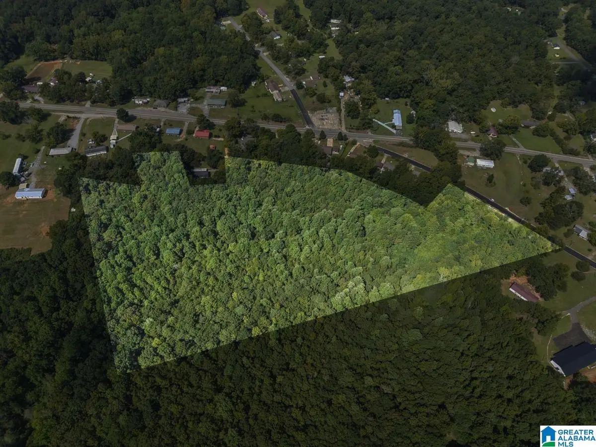 0 SYCAMORE STREET, Jemison, AL 35085 - Image #1