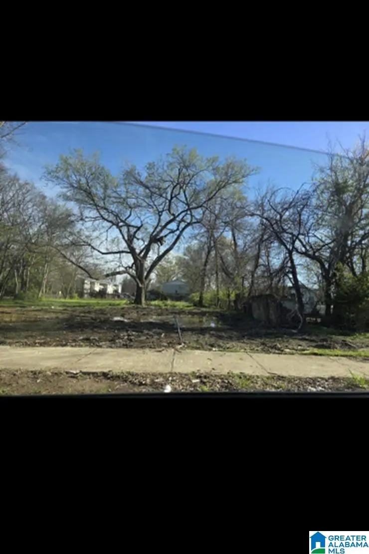 213 GRAYMONT AVENUE N, Birmingham, AL 35204 - Image #1