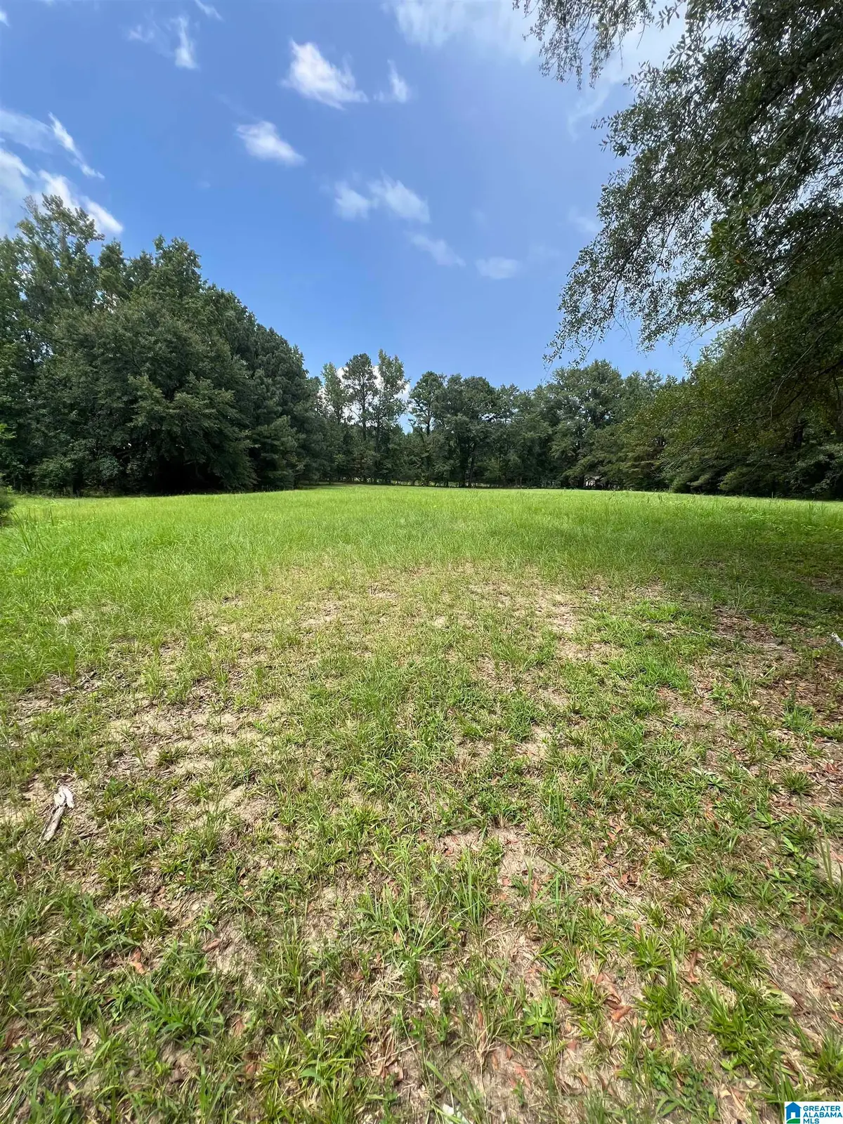 2475 COUNTY ROAD 228, Clanton, AL 35045 - Image #1