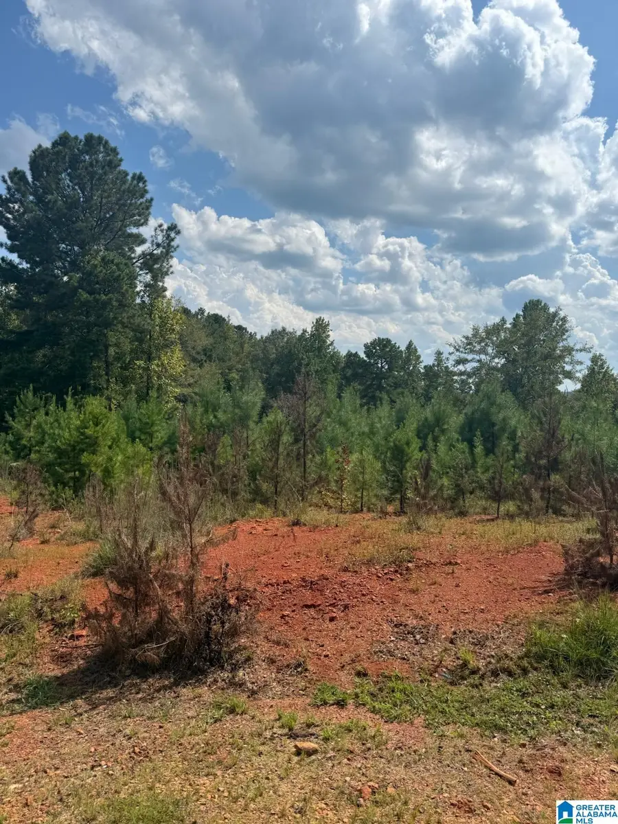 Lot 43 COURTNEY LANE, Wedowee, AL 36278 - Image #2