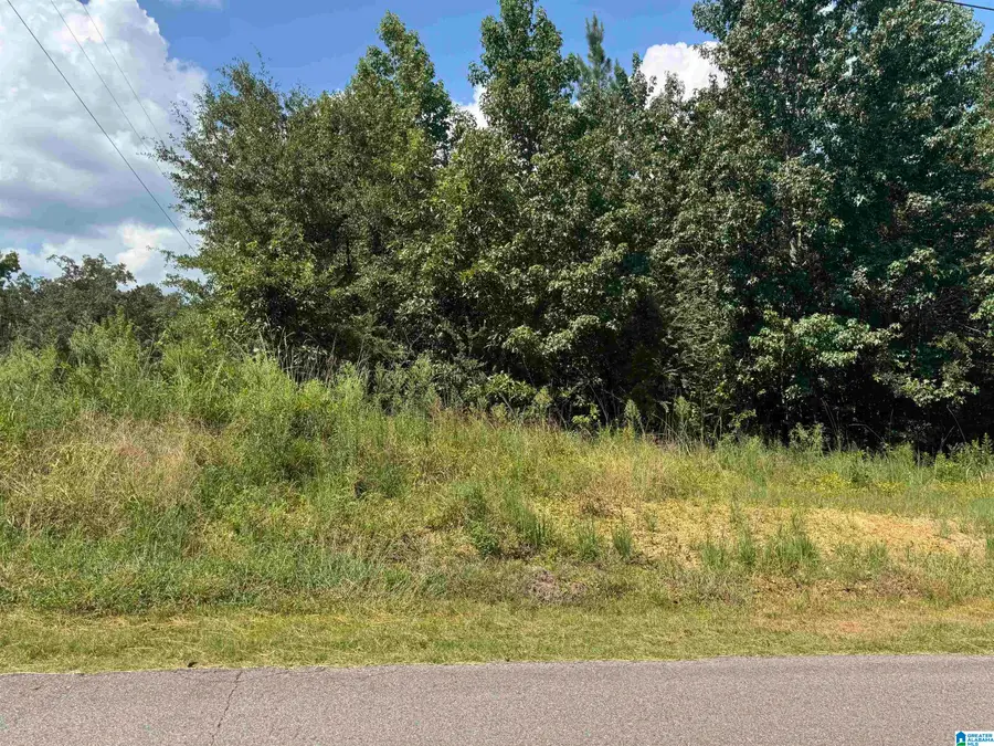 SHORT TOWN ROAD, Vance, AL 35490 - Image #2