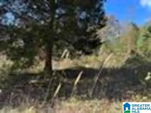 580 COUNTY ROAD 209, Heflin, AL 36264 - Image #1
