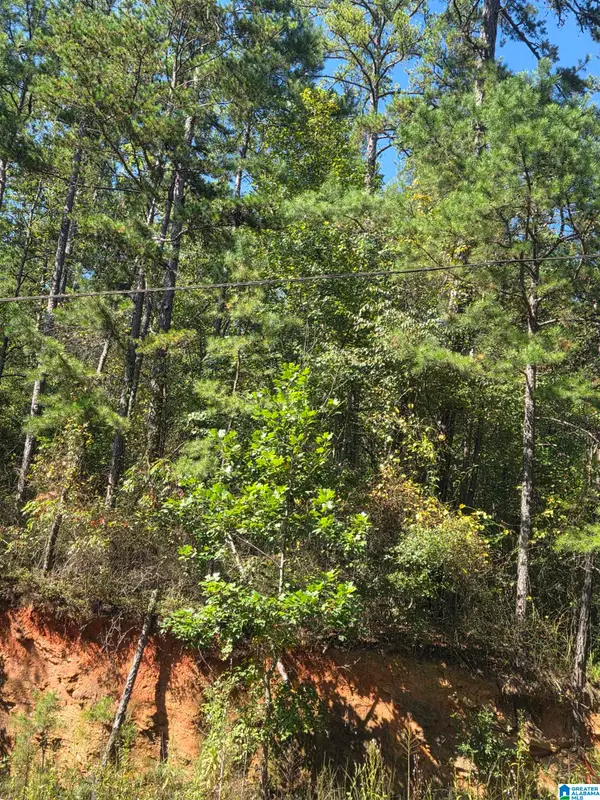 COUNTY ROAD 82, Wedowee, AL 36278