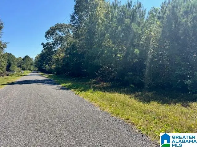 576 E. R. WHITE ROAD, Lineville, AL 36266 - Image #2