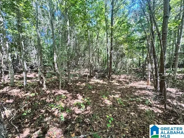 576 E. R. WHITE ROAD, Lineville, AL 36266 - Image #3