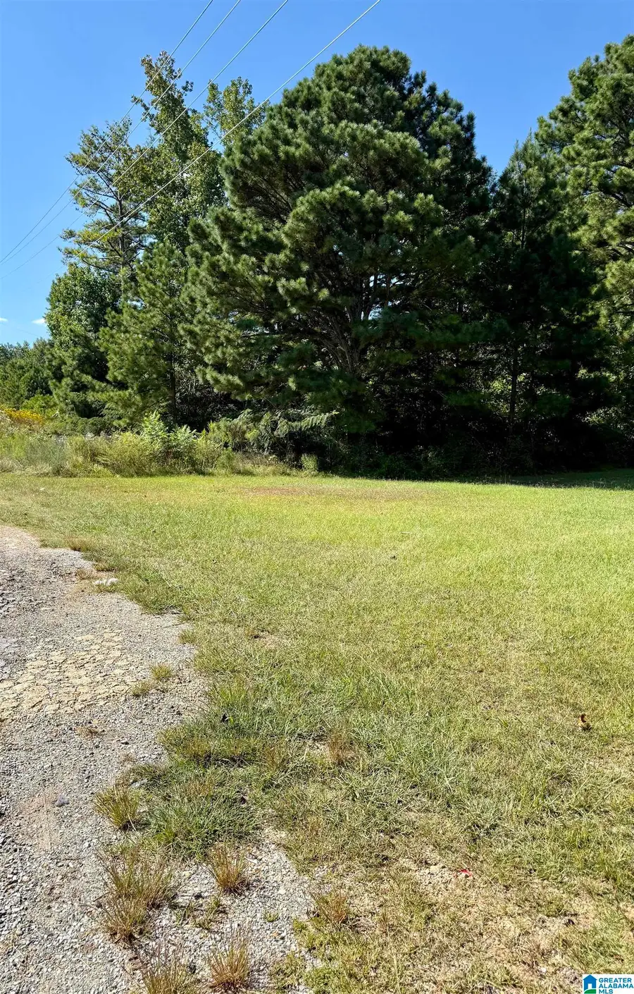 HIGHWAY 46, Heflin, AL 36264 - Image #3