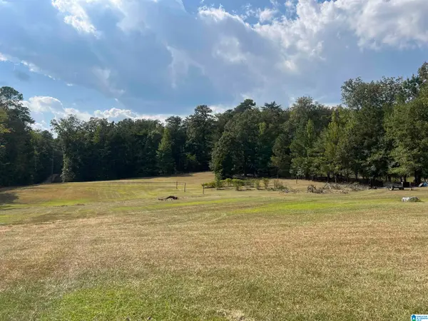 6809 LOU GEORGE LOOP, Bessemer, AL 35022