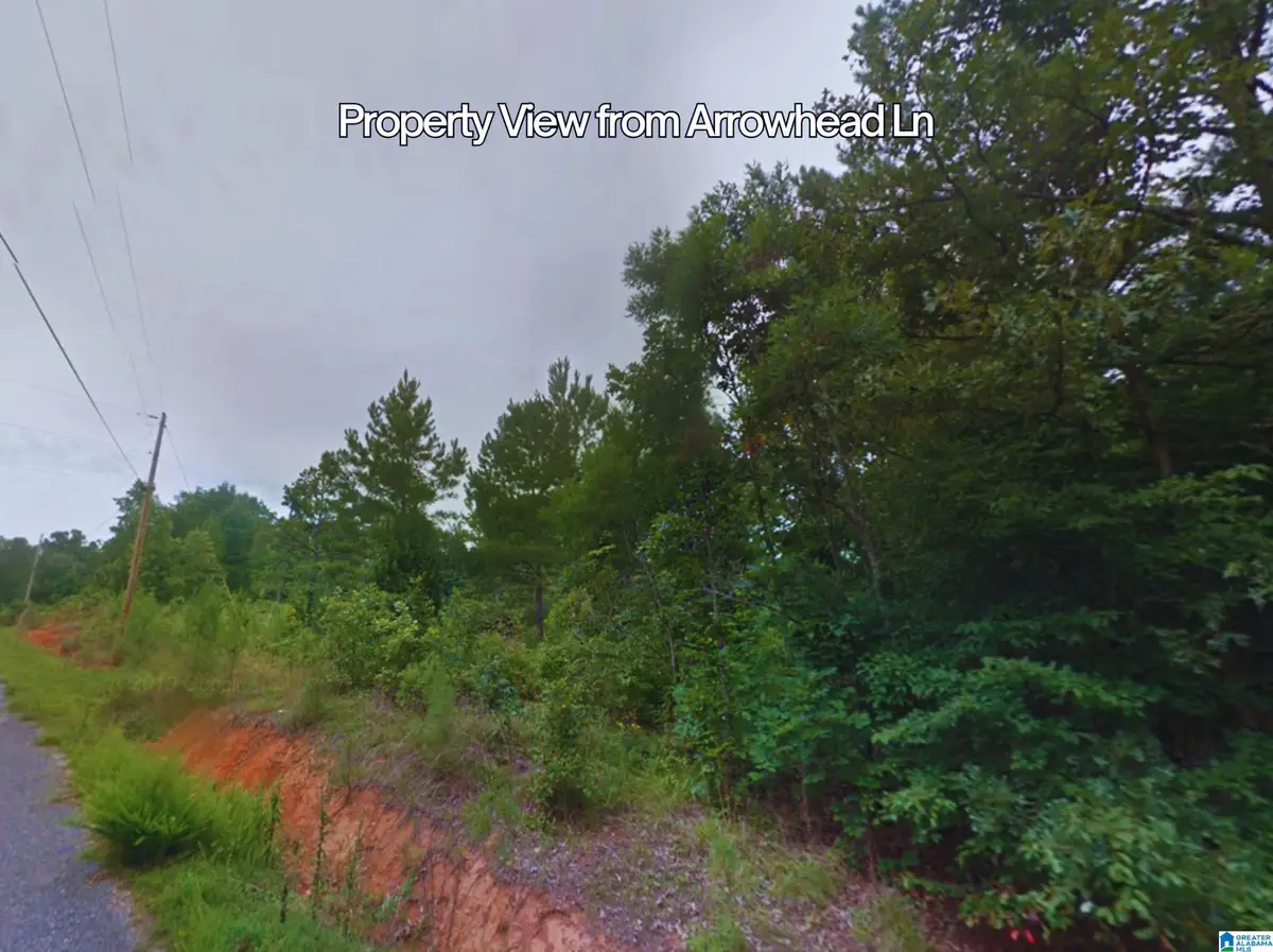 0 ARROWHEAD LANE, Talladega, AL 35160 - Image #1