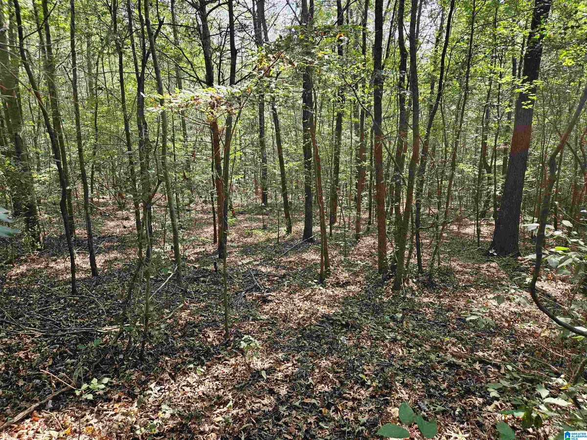 PLEASANT VALLEY ROAD, Gallant, AL 35972 - Image #1