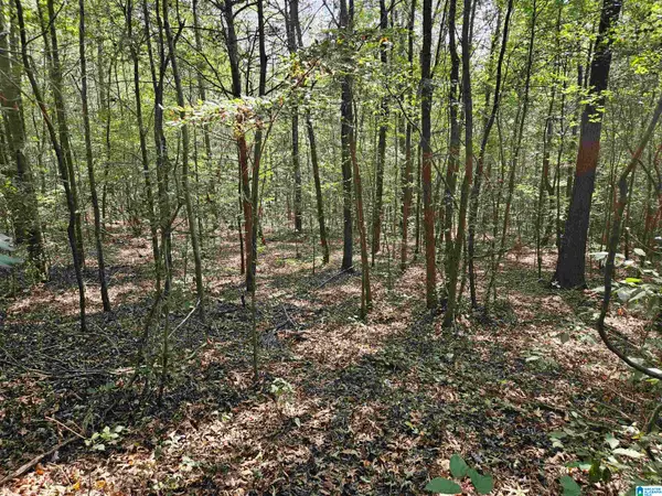 PLEASANT VALLEY ROAD, Gallant, AL 35972