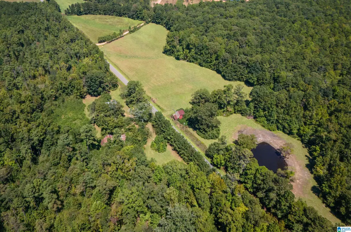 0 COUNTY ROAD 59, Roanoke, AL 36274 - Image #1