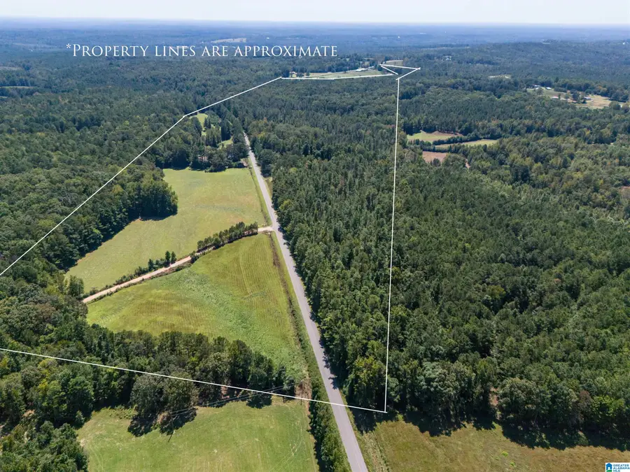 0 COUNTY ROAD 59, Roanoke, AL 36274 - Image #2