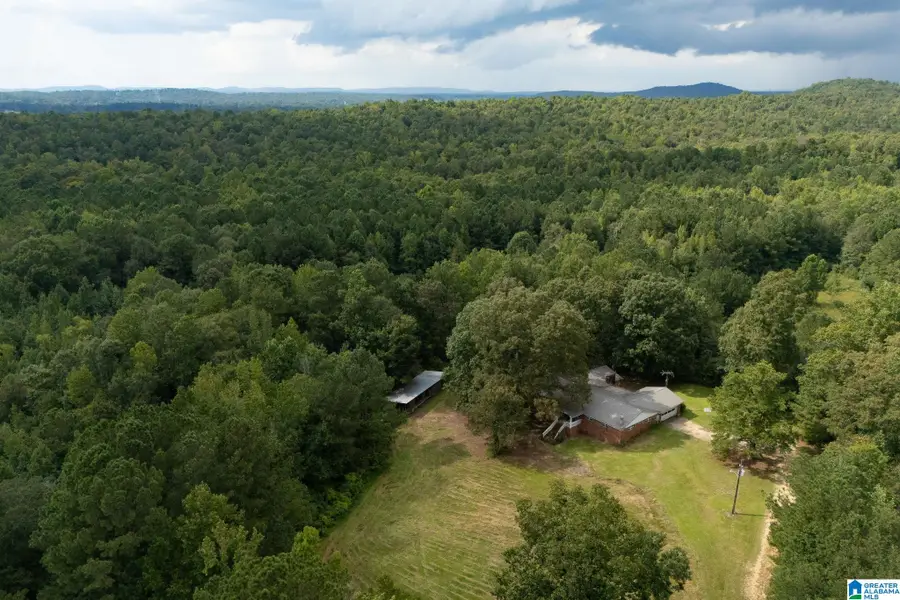 4255 KELLY CREEK ROAD, Odenville, AL 35120 - Image #2