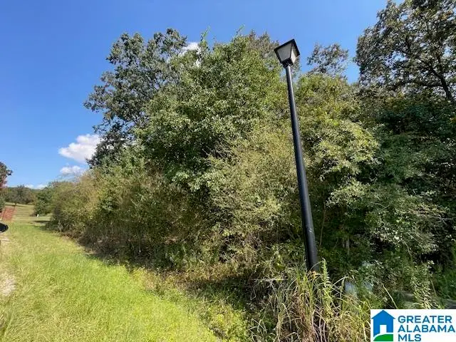 0 EASTLAND HILLS, Lincoln, AL 35096 - Image #2