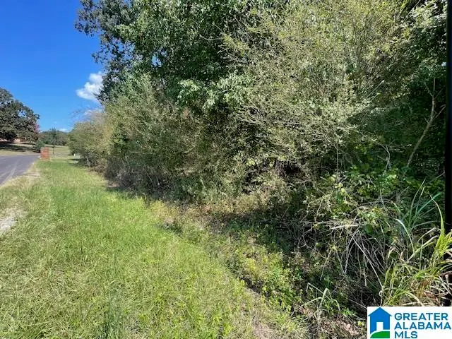 0 EASTLAND HILLS, Lincoln, AL 35096 - Image #3