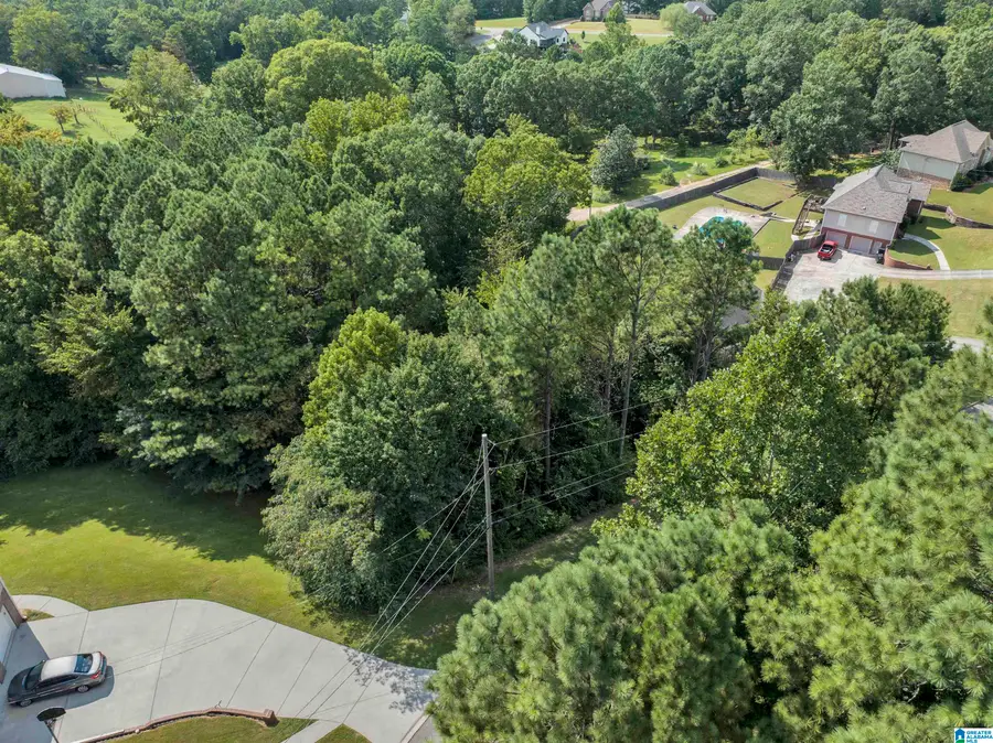 7604 AZALEA CIRCLE, Trussville, AL 35173 - Image #3