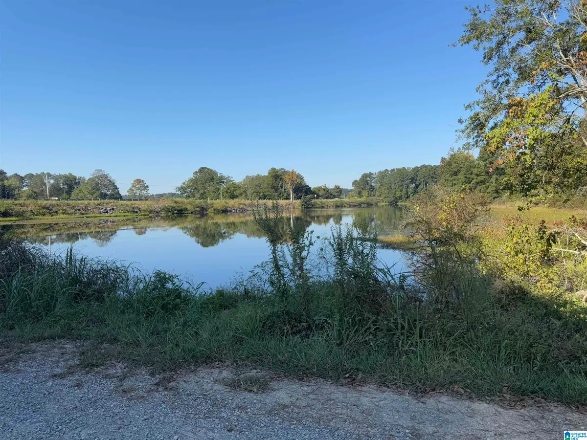 264 STINES LANE, Lincoln, AL 35096 - Image #1