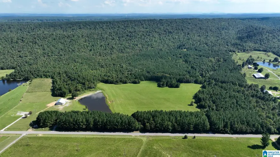 6150 SHOAL CREEK ROAD, Ashville, AL 35953 - Image #3