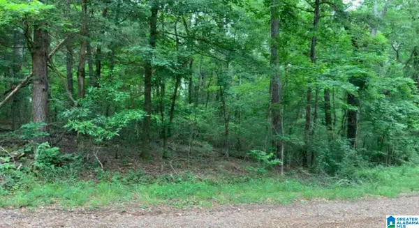 0 14TH STREET, Calera, AL 35040