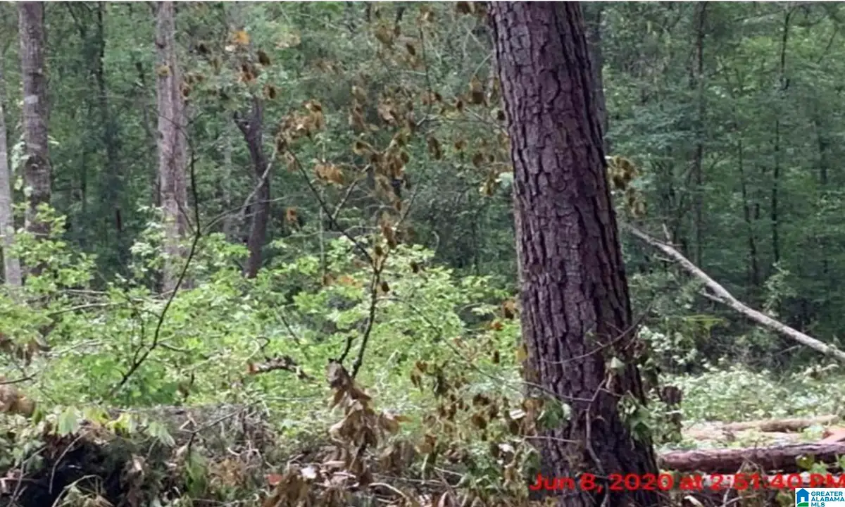 0 16TH STREET, Calera, AL 35040 - Image #1