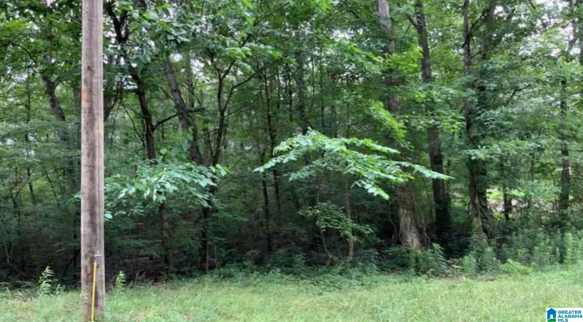 0 19TH STREET, Calera, AL 35040 - Image #1