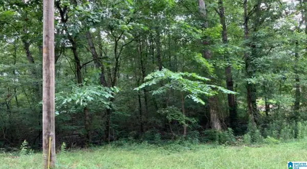 0 19TH STREET, Calera, AL 35040