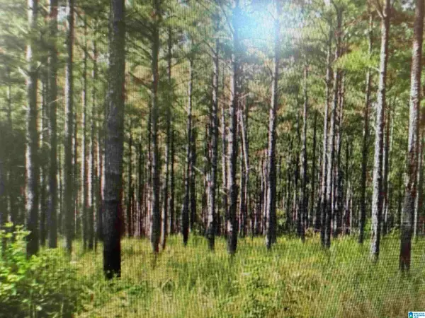 2850 GOODWIN ROAD, Morris, AL 35116