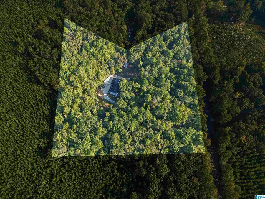 5557 DRY CREEK ROAD, Pell City, AL 35128 - Image #3