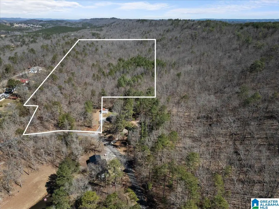 0 OAKRIDGE DRIVE, Oneonta, AL 35121 - Image #2