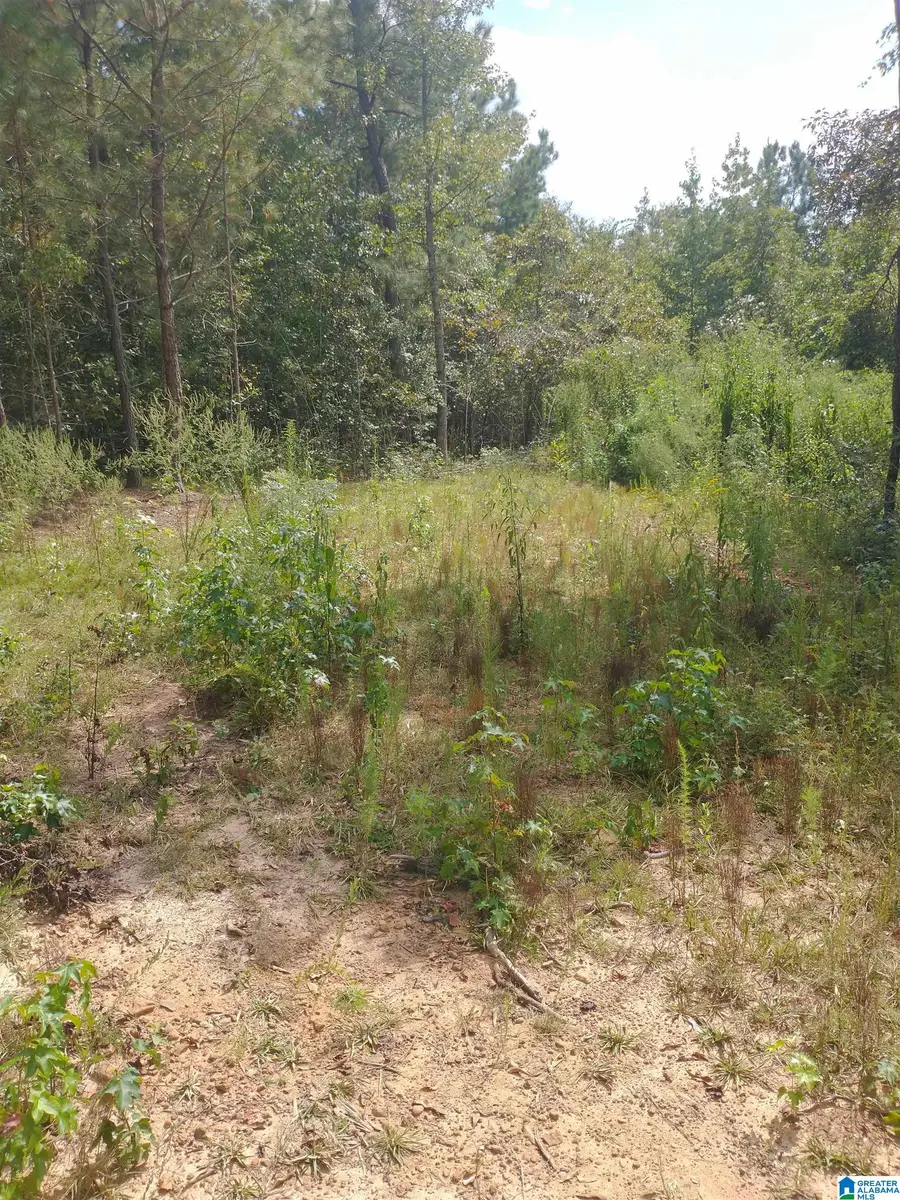 004 SERENITY LANE, Alpine, AL 35014 - Image #3