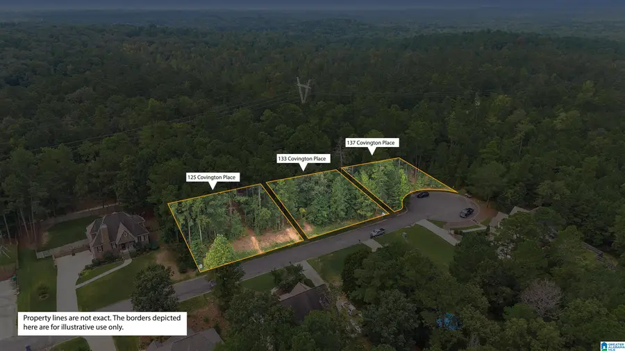 133 COVINGTON PLACE DRIVE, Columbiana, AL 35051 - Image #2