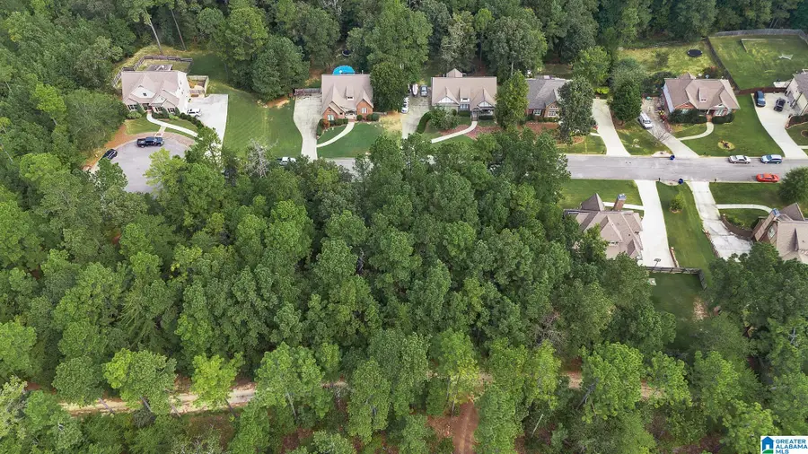 133 COVINGTON PLACE DRIVE, Columbiana, AL 35051 - Image #3