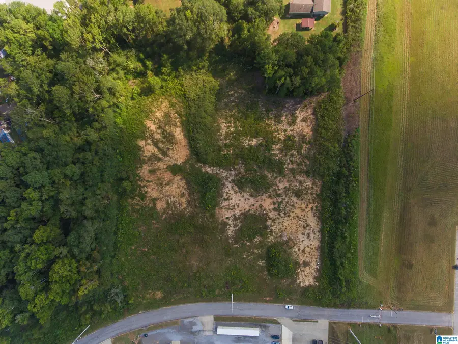 0 RED MORRIS PARKWAY, Anniston, AL 36207 - Image #2