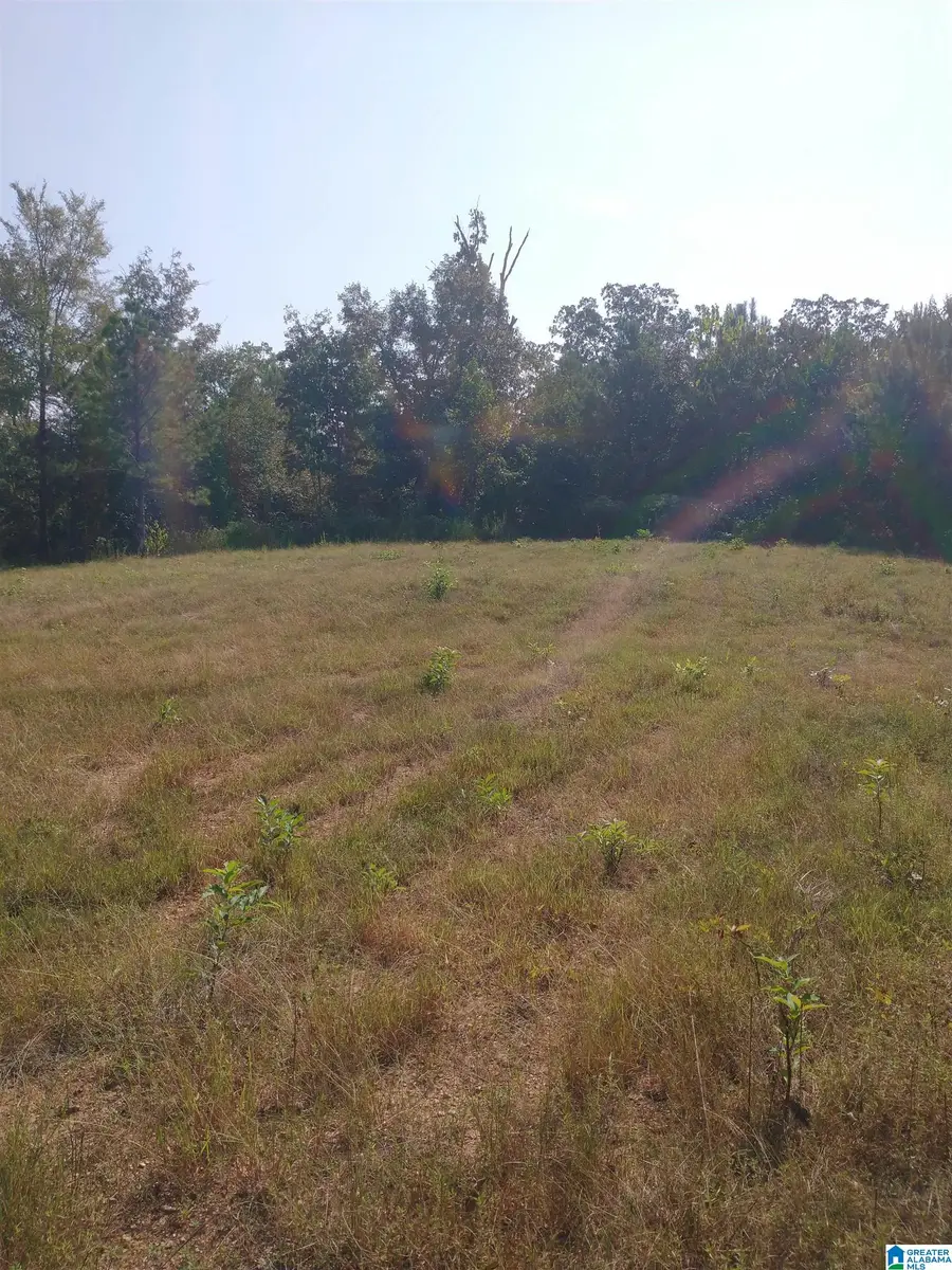 008100 MCKESIE STREET, Riverside, AL 35135 - Image #2