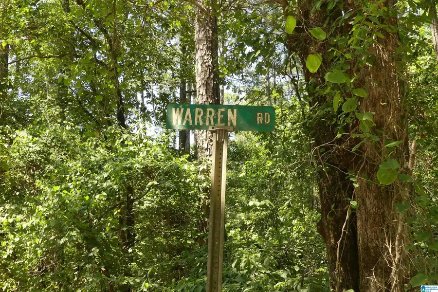 LOT 2 WARREN ROAD, Wedowee, AL 36278 - Image #2