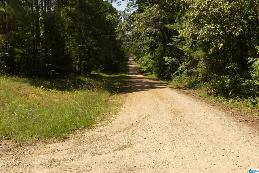 LOT 2 WARREN ROAD, Wedowee, AL 36278 - Image #3