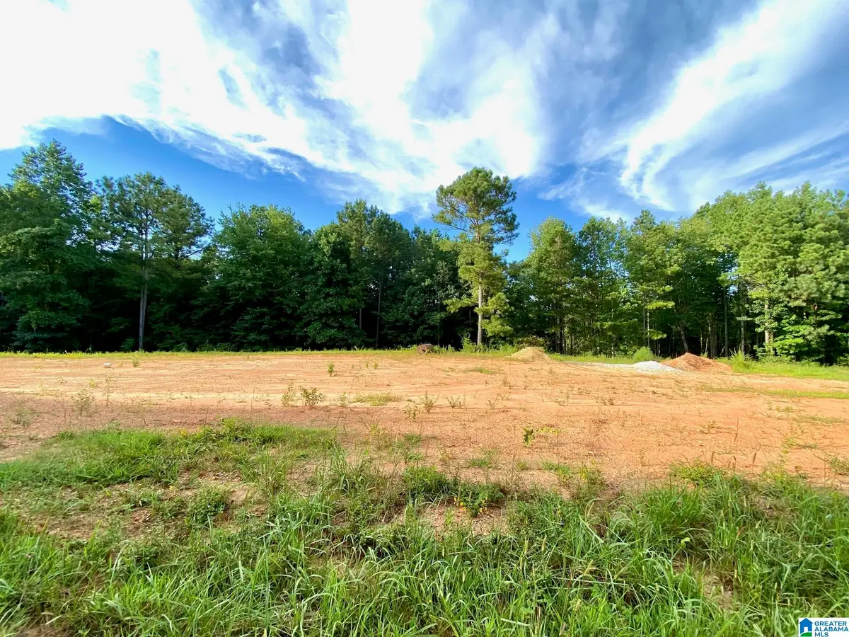 0 COUNTY ROAD 852, Ranburne, AL 36273 - Image #1