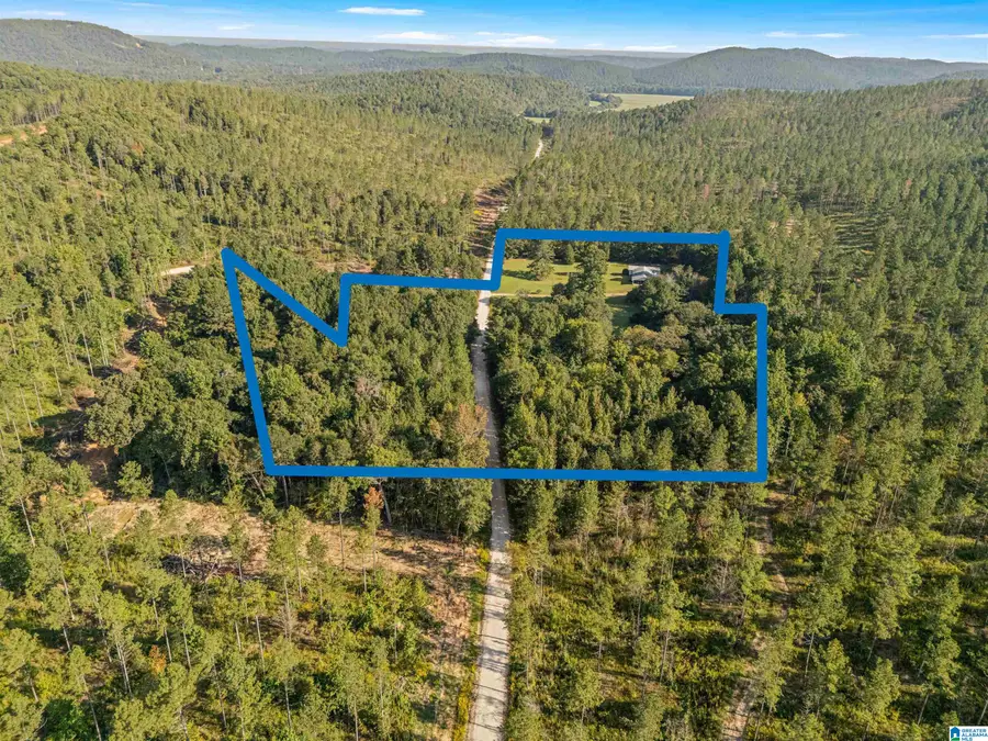 2250 COUNTY ROAD 175, Piedmont, AL 36272 - Image #2