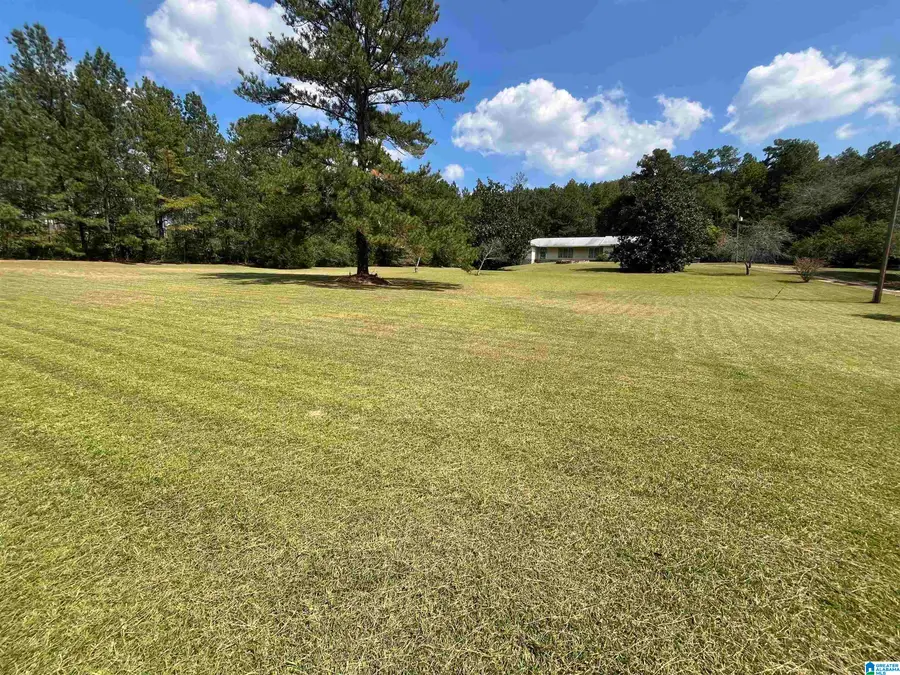 2250 COUNTY ROAD 175, Piedmont, AL 36272 - Image #3