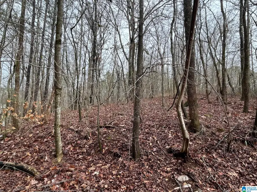 1974 WEBSTERS CHAPEL ROAD, Wellington, AL 36279 - Image #2