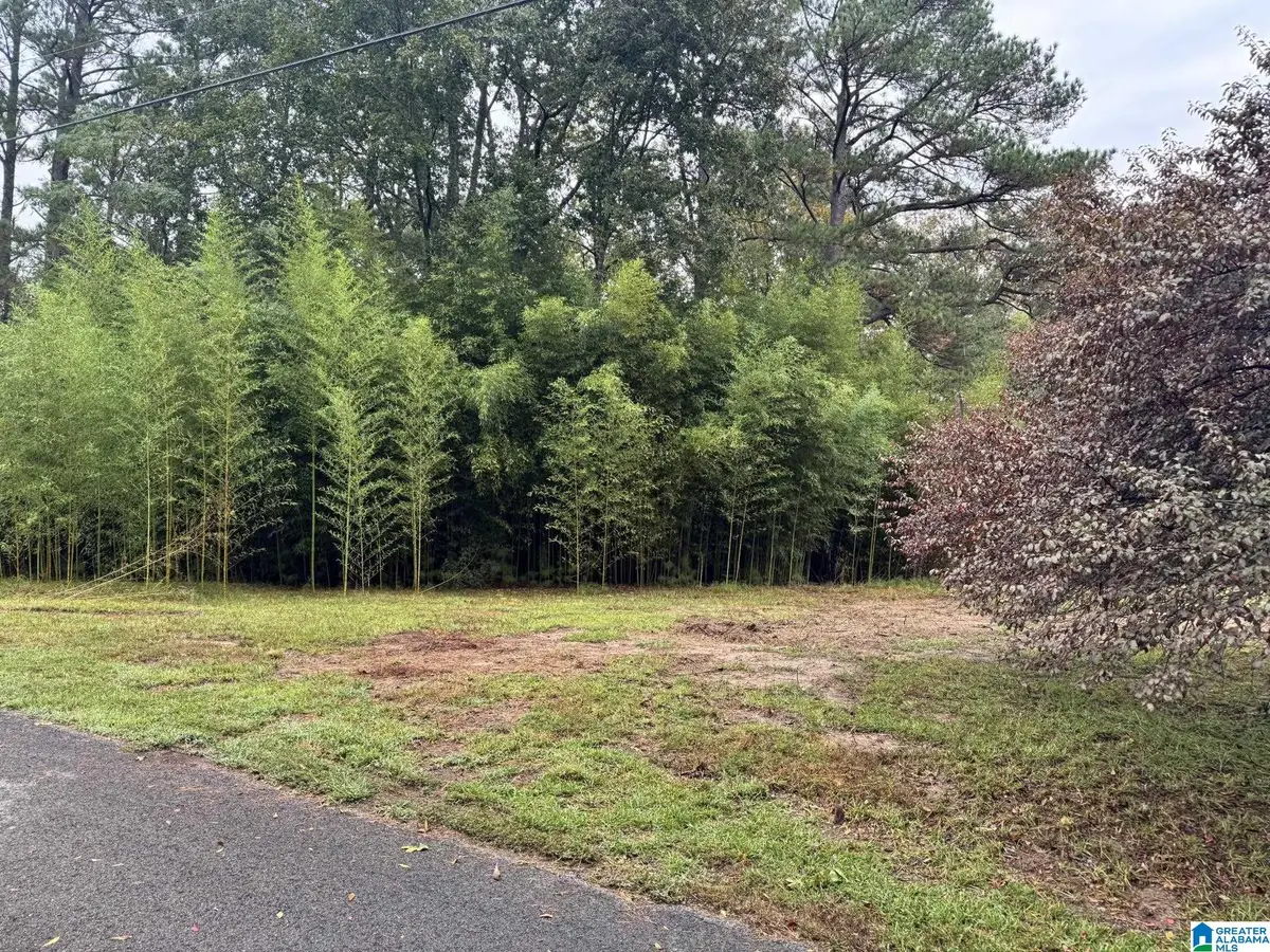 159 BRANDY LANE, Mulga, AL 35118 - Image #1