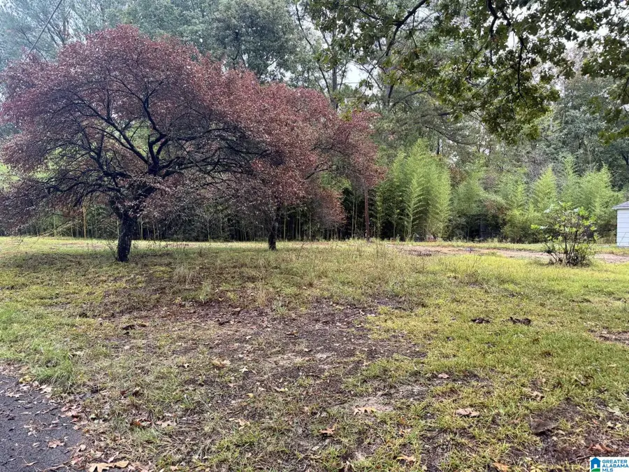 159 BRANDY LANE, Mulga, AL 35118 - Image #2