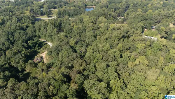 0 MAGNOLIA CIRCLE, Centreville, AL 35042