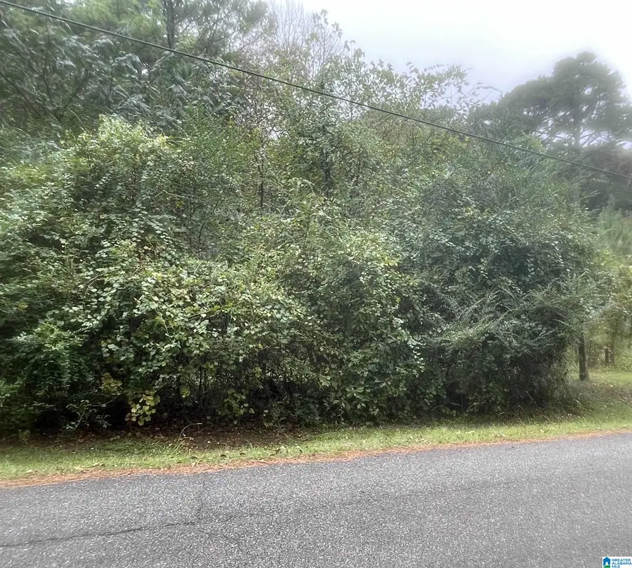 6838 OAK LEAF LANE, Pinson, AL 35126 - Image #2