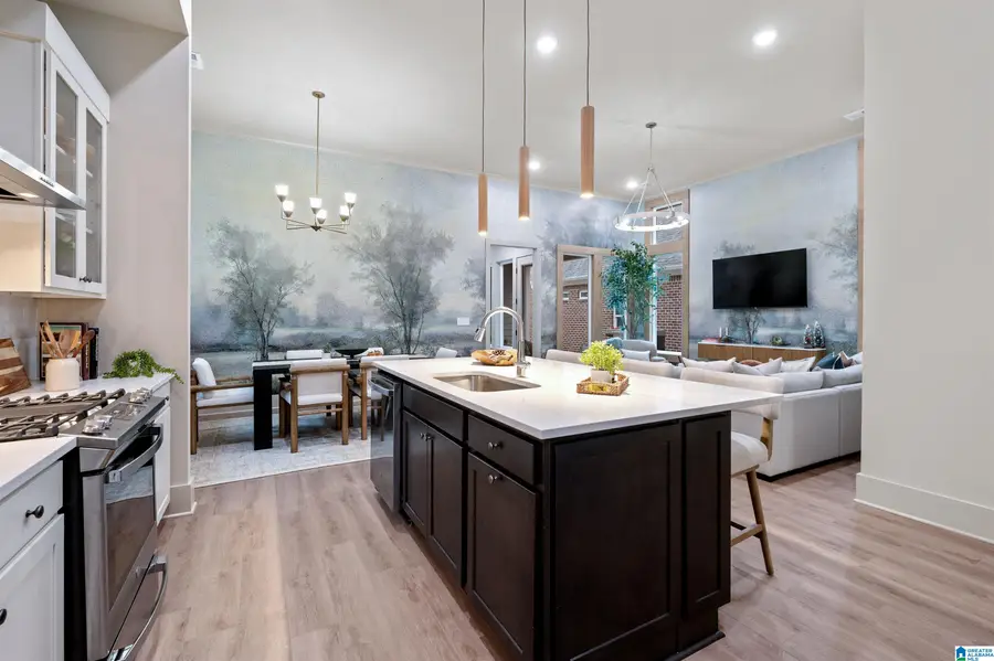 4043 ADRIAN STREET, Hoover, AL 35244 - Image #2