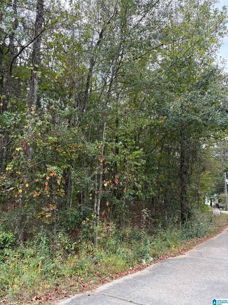 000 OAKLAND AVENUE, Wilsonville, AL 35186 - Image #2